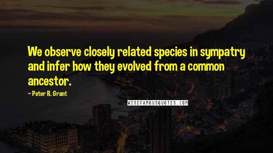 Peter R. Grant Quotes: We observe closely related species in sympatry and infer how they evolved from a common ancestor.