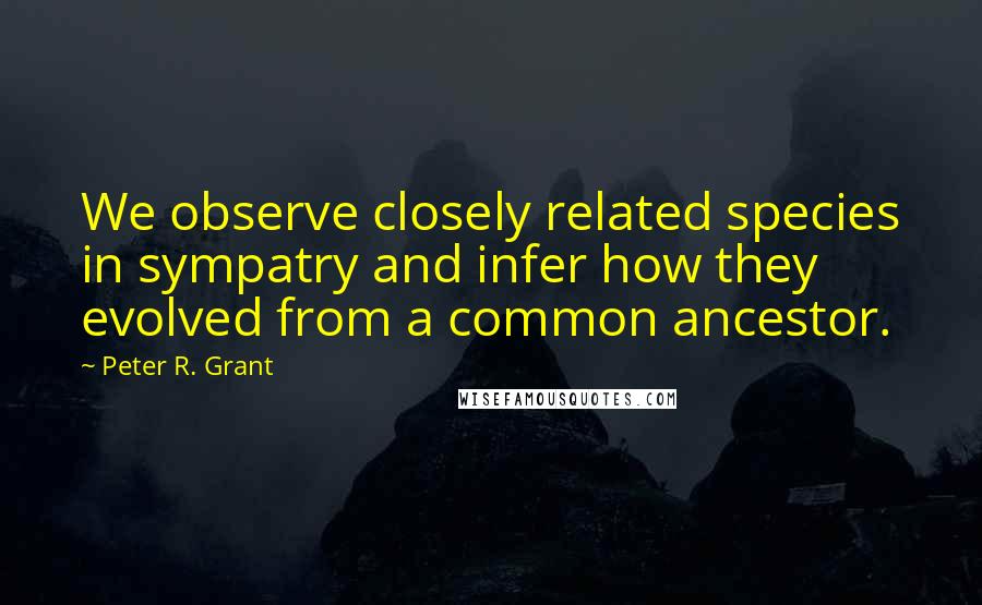 Peter R. Grant Quotes: We observe closely related species in sympatry and infer how they evolved from a common ancestor.