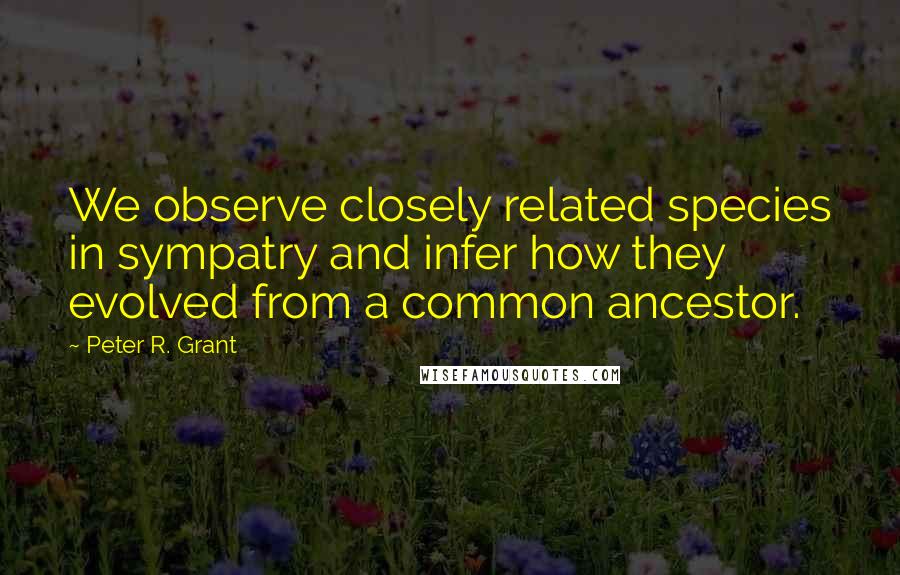 Peter R. Grant Quotes: We observe closely related species in sympatry and infer how they evolved from a common ancestor.
