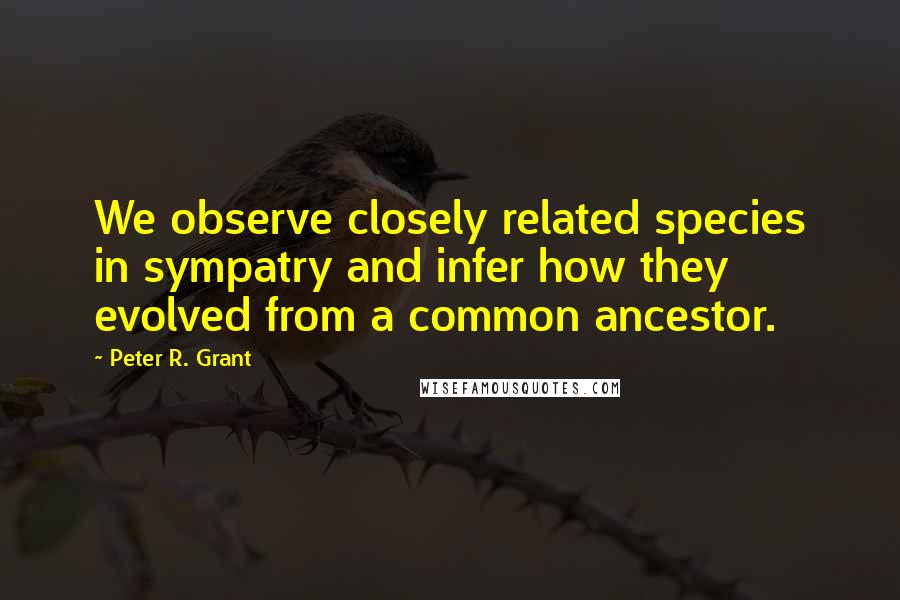 Peter R. Grant Quotes: We observe closely related species in sympatry and infer how they evolved from a common ancestor.