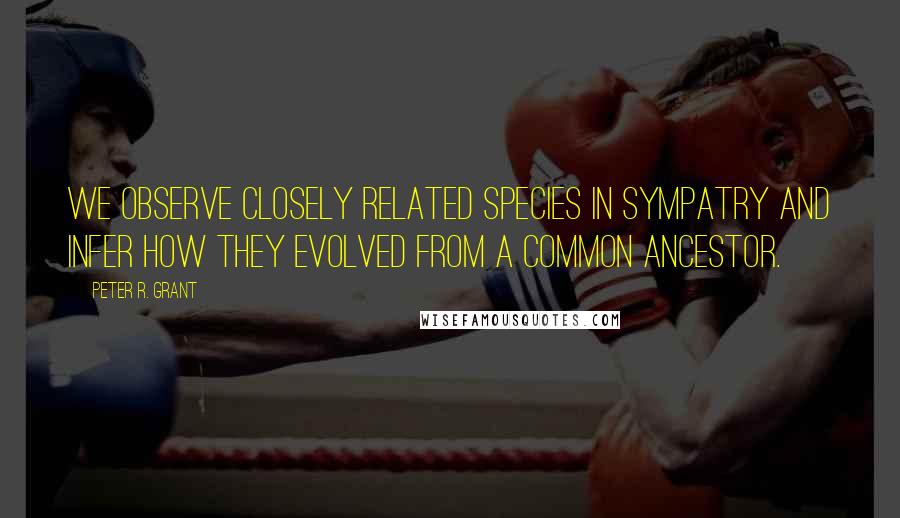 Peter R. Grant Quotes: We observe closely related species in sympatry and infer how they evolved from a common ancestor.