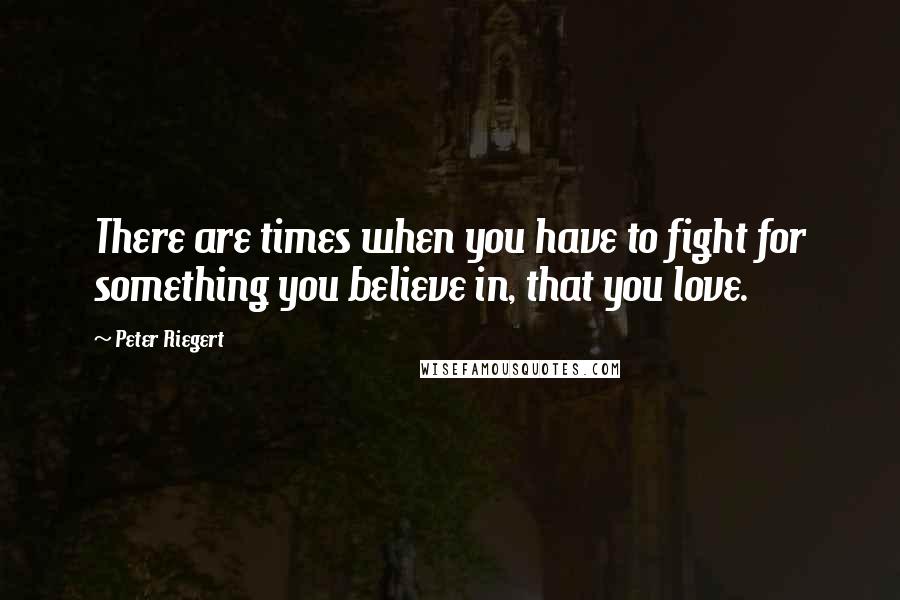 Peter Riegert Quotes: There are times when you have to fight for something you believe in, that you love.