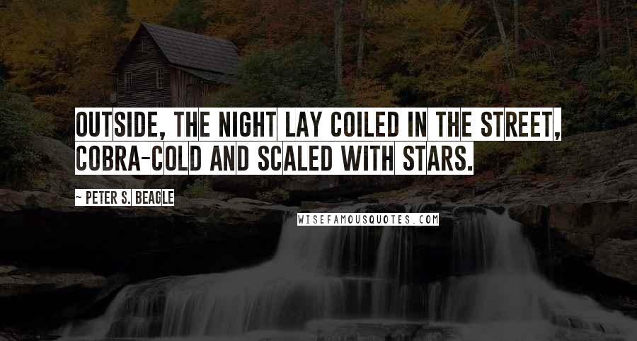 Peter S. Beagle Quotes: Outside, the night lay coiled in the street, cobra-cold and scaled with stars.