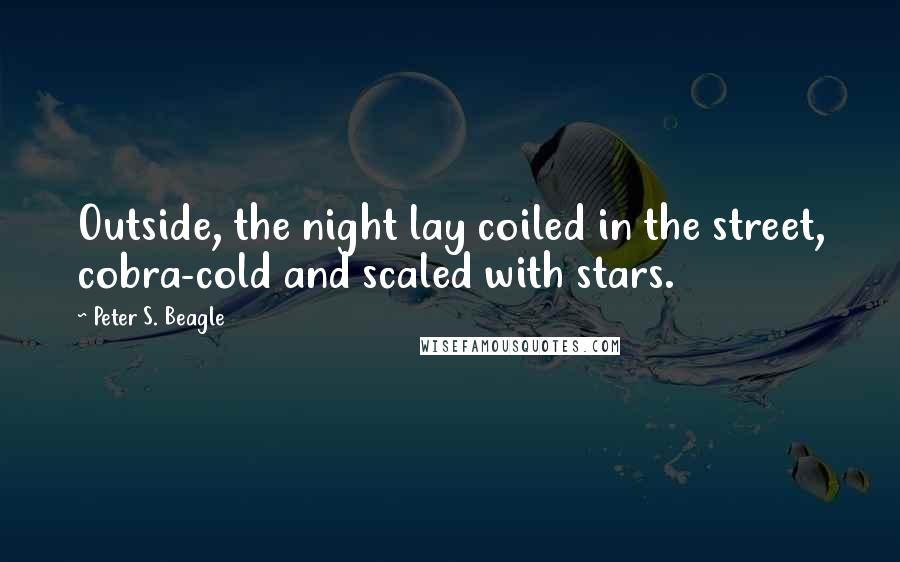 Peter S. Beagle Quotes: Outside, the night lay coiled in the street, cobra-cold and scaled with stars.