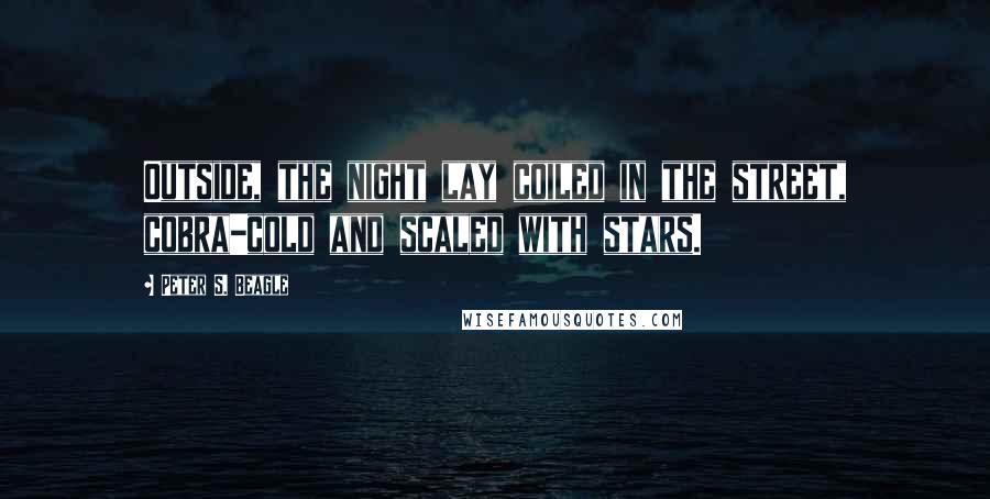 Peter S. Beagle Quotes: Outside, the night lay coiled in the street, cobra-cold and scaled with stars.