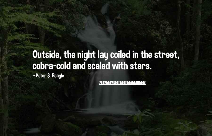 Peter S. Beagle Quotes: Outside, the night lay coiled in the street, cobra-cold and scaled with stars.