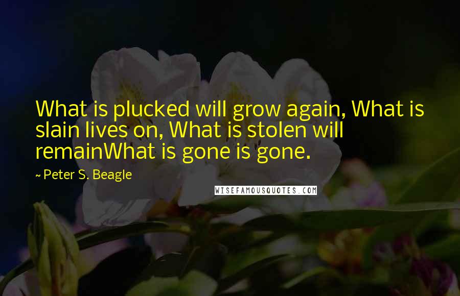 Peter S. Beagle Quotes: What is plucked will grow again, What is slain lives on, What is stolen will remainWhat is gone is gone.