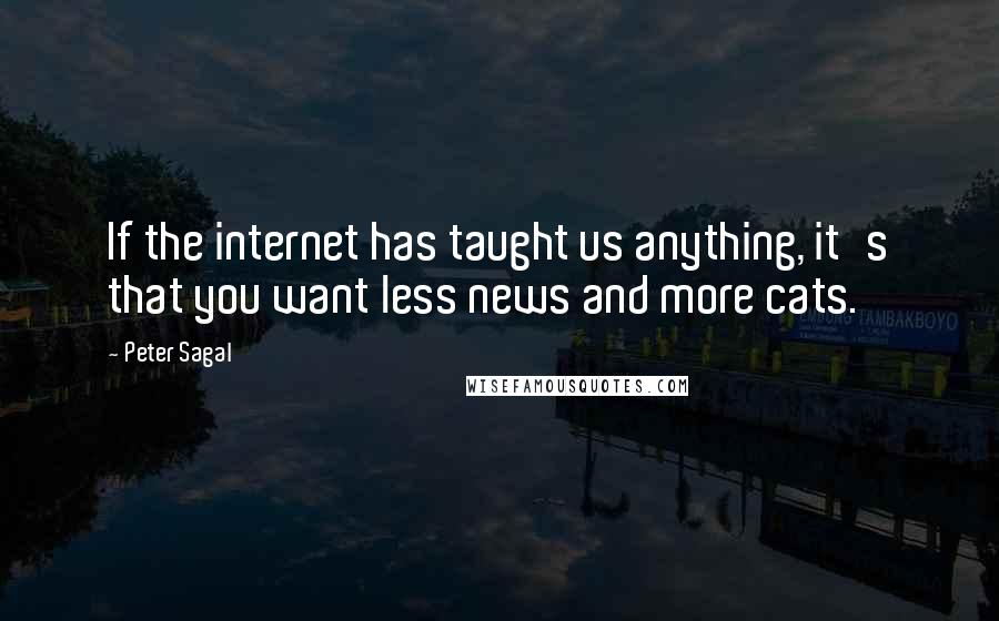 Peter Sagal Quotes: If the internet has taught us anything, it's that you want less news and more cats.
