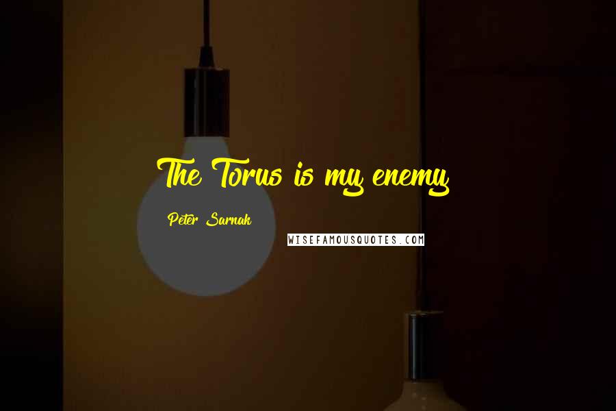 Peter Sarnak Quotes: The Torus is my enemy!