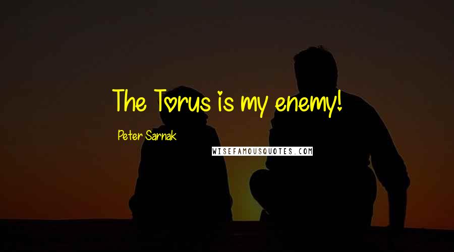 Peter Sarnak Quotes: The Torus is my enemy!