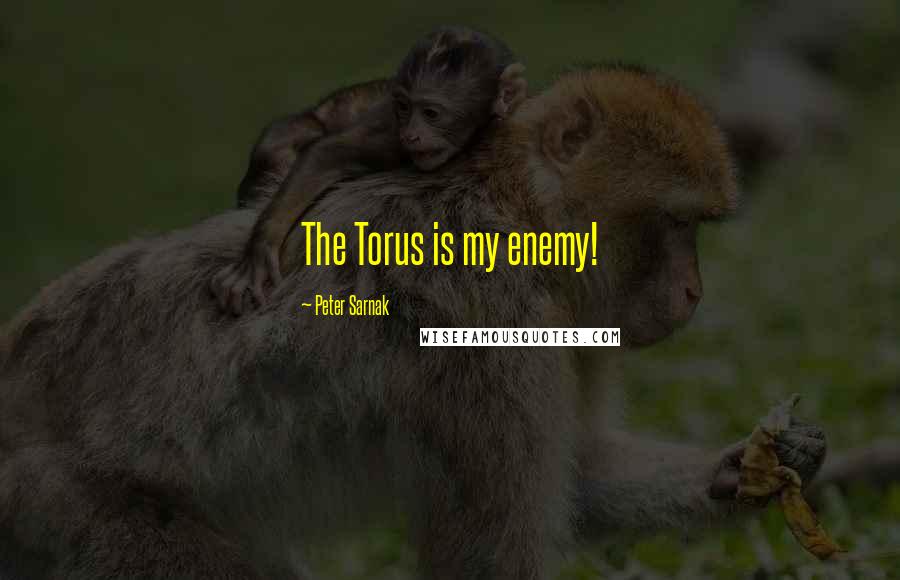 Peter Sarnak Quotes: The Torus is my enemy!