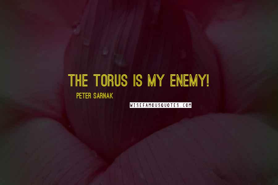 Peter Sarnak Quotes: The Torus is my enemy!