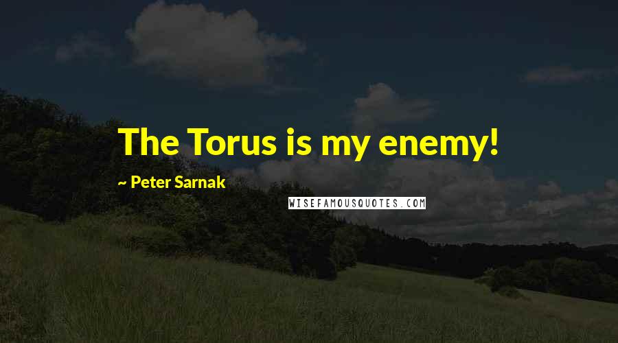 Peter Sarnak Quotes: The Torus is my enemy!