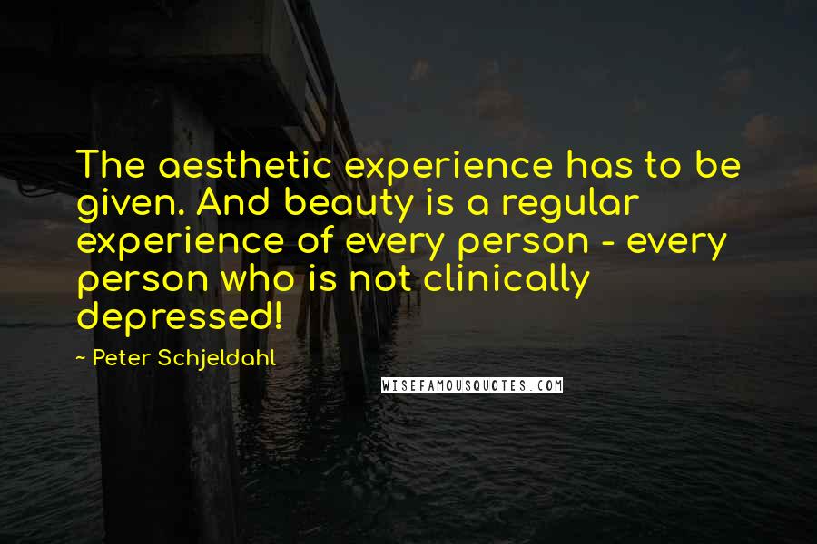 Peter Schjeldahl Quotes: The aesthetic experience has to be given. And beauty is a regular experience of every person - every person who is not clinically depressed!