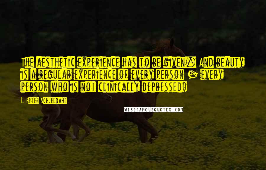 Peter Schjeldahl Quotes: The aesthetic experience has to be given. And beauty is a regular experience of every person - every person who is not clinically depressed!