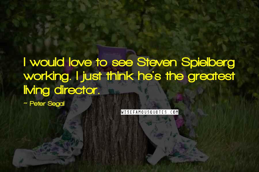 Peter Segal Quotes: I would love to see Steven Spielberg working. I just think he's the greatest living director.