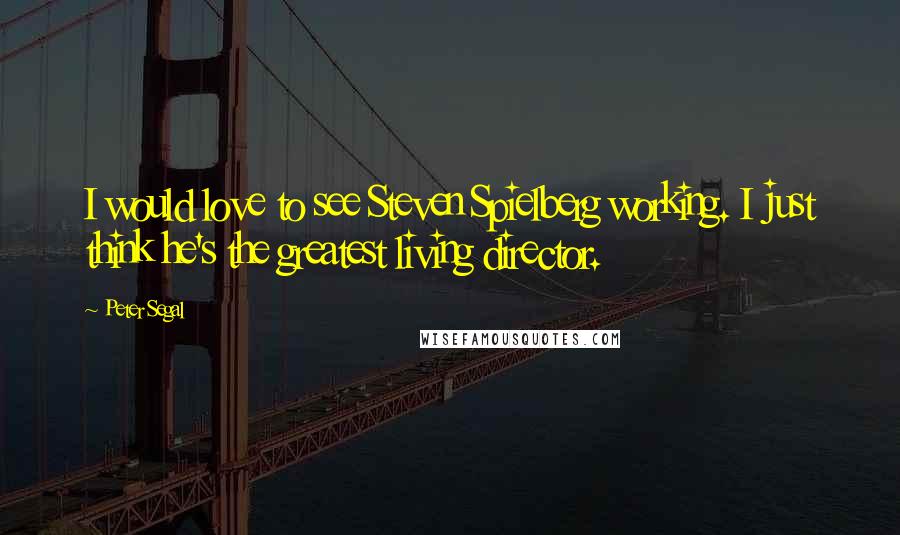 Peter Segal Quotes: I would love to see Steven Spielberg working. I just think he's the greatest living director.