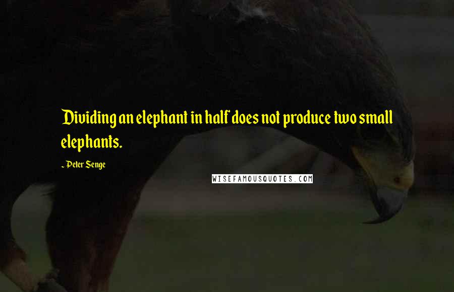 Peter Senge Quotes: Dividing an elephant in half does not produce two small elephants.