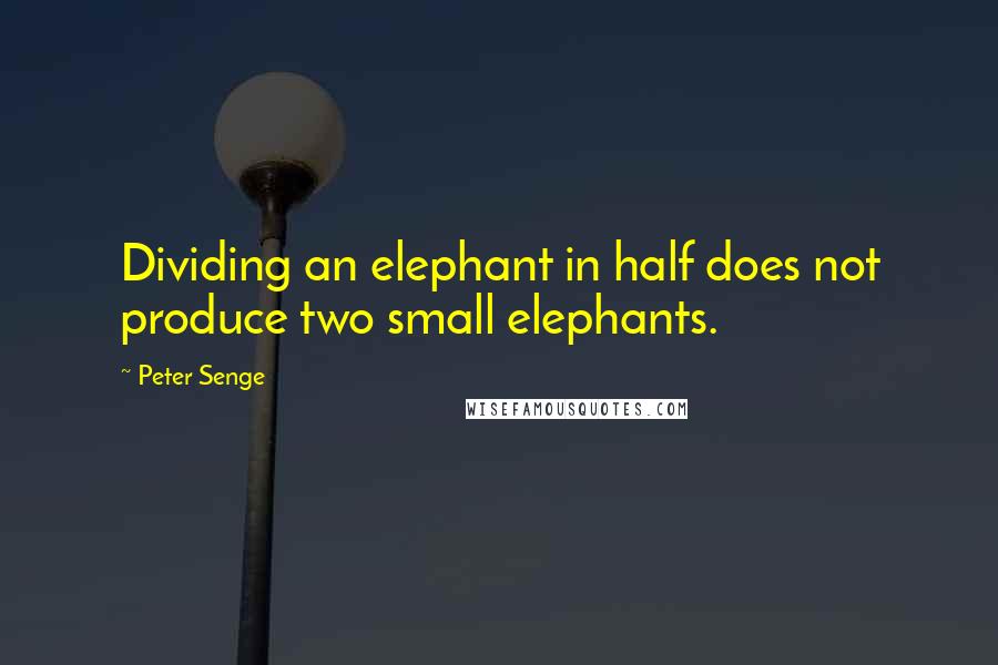 Peter Senge Quotes: Dividing an elephant in half does not produce two small elephants.