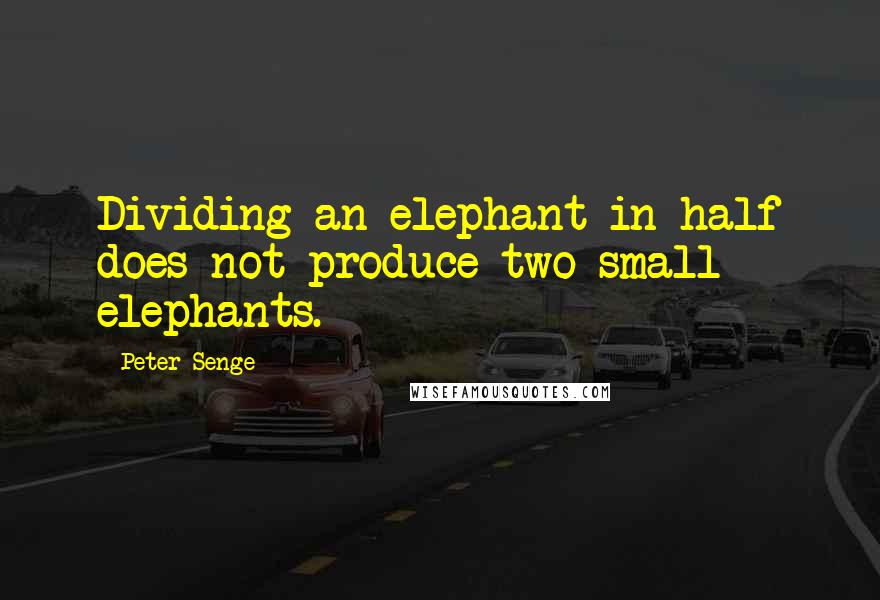 Peter Senge Quotes: Dividing an elephant in half does not produce two small elephants.
