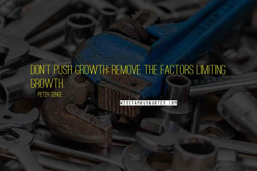 Peter Senge Quotes: Don't push growth; remove the factors limiting growth.