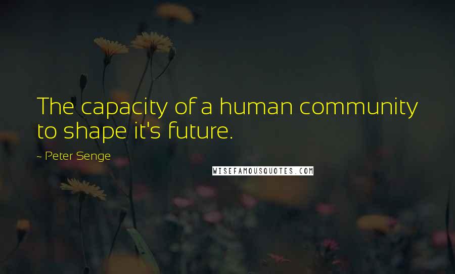 Peter Senge Quotes: The capacity of a human community to shape it's future.