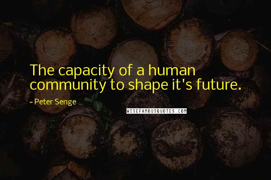 Peter Senge Quotes: The capacity of a human community to shape it's future.
