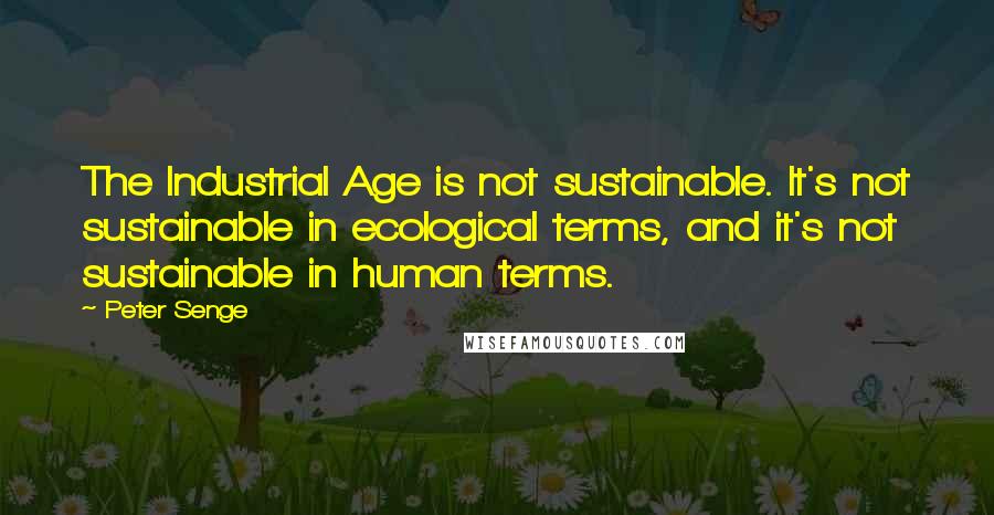 Peter Senge Quotes: The Industrial Age is not sustainable. It's not sustainable in ecological terms, and it's not sustainable in human terms.