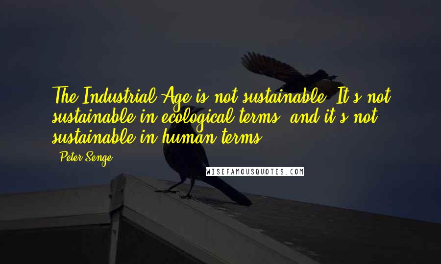 Peter Senge Quotes: The Industrial Age is not sustainable. It's not sustainable in ecological terms, and it's not sustainable in human terms.