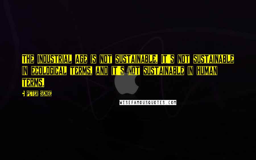 Peter Senge Quotes: The Industrial Age is not sustainable. It's not sustainable in ecological terms, and it's not sustainable in human terms.