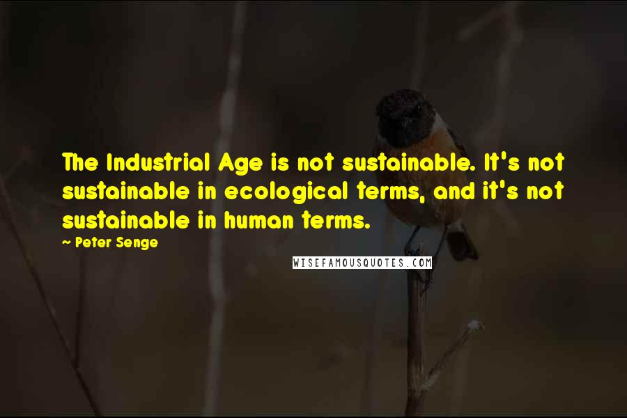 Peter Senge Quotes: The Industrial Age is not sustainable. It's not sustainable in ecological terms, and it's not sustainable in human terms.