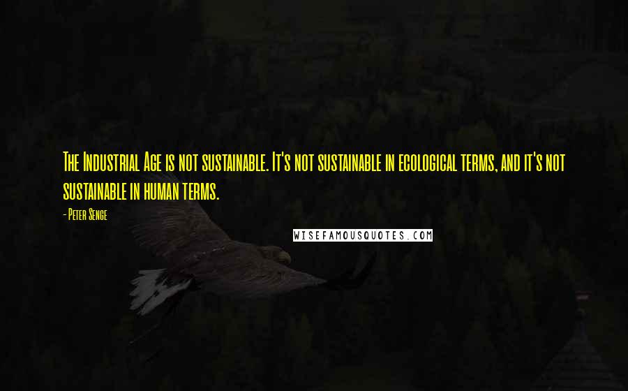 Peter Senge Quotes: The Industrial Age is not sustainable. It's not sustainable in ecological terms, and it's not sustainable in human terms.