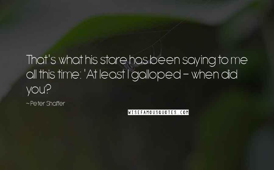 Peter Shaffer Quotes: That's what his stare has been saying to me all this time: 'At least I galloped - when did you?