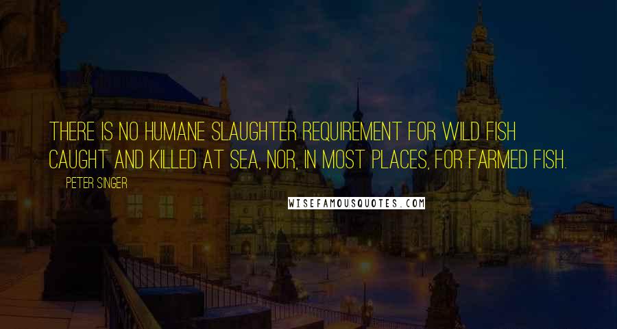 Peter Singer Quotes: There is no humane slaughter requirement for wild fish caught and killed at sea, nor, in most places, for farmed fish.