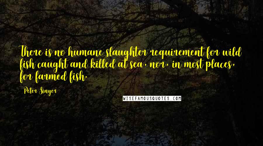 Peter Singer Quotes: There is no humane slaughter requirement for wild fish caught and killed at sea, nor, in most places, for farmed fish.