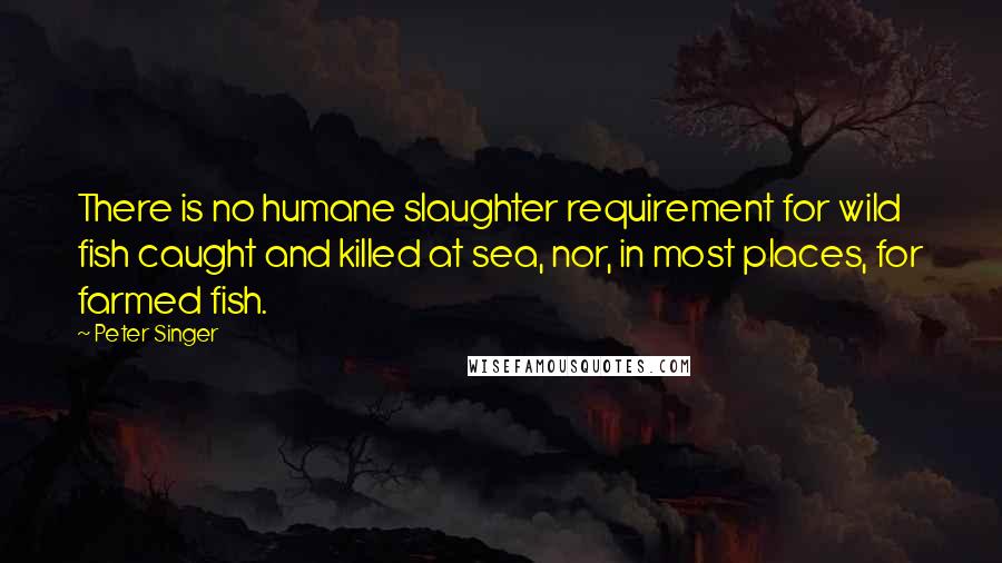 Peter Singer Quotes: There is no humane slaughter requirement for wild fish caught and killed at sea, nor, in most places, for farmed fish.