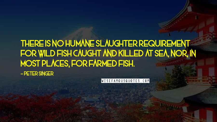 Peter Singer Quotes: There is no humane slaughter requirement for wild fish caught and killed at sea, nor, in most places, for farmed fish.