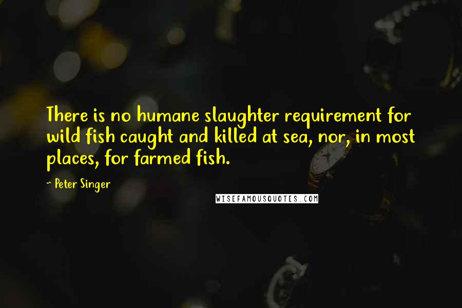 Peter Singer Quotes: There is no humane slaughter requirement for wild fish caught and killed at sea, nor, in most places, for farmed fish.