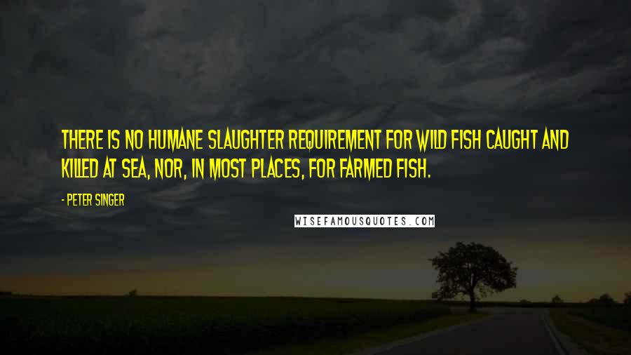 Peter Singer Quotes: There is no humane slaughter requirement for wild fish caught and killed at sea, nor, in most places, for farmed fish.