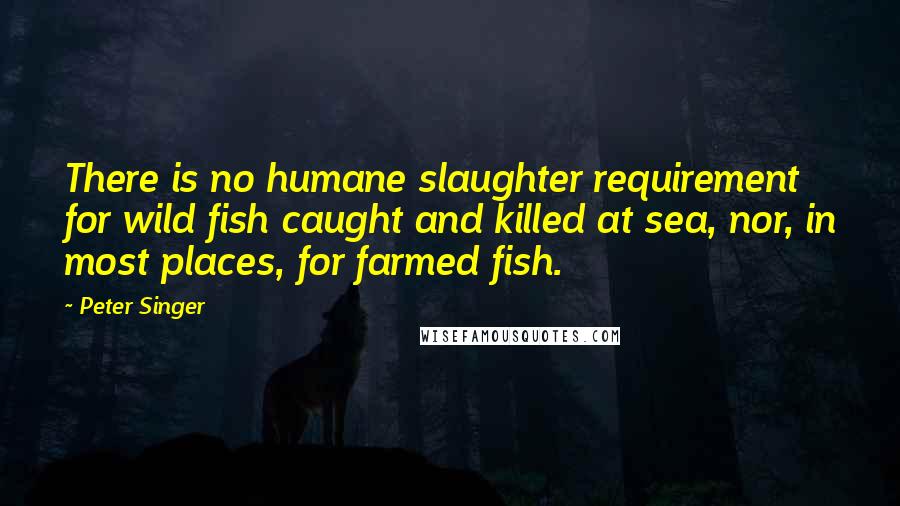 Peter Singer Quotes: There is no humane slaughter requirement for wild fish caught and killed at sea, nor, in most places, for farmed fish.