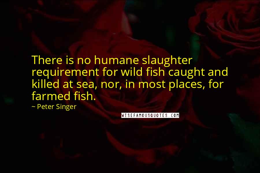 Peter Singer Quotes: There is no humane slaughter requirement for wild fish caught and killed at sea, nor, in most places, for farmed fish.