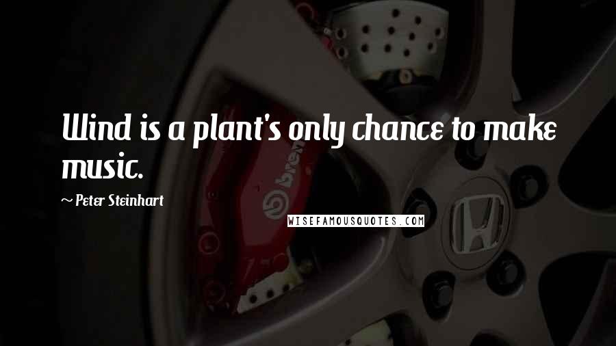 Peter Steinhart Quotes: Wind is a plant's only chance to make music.