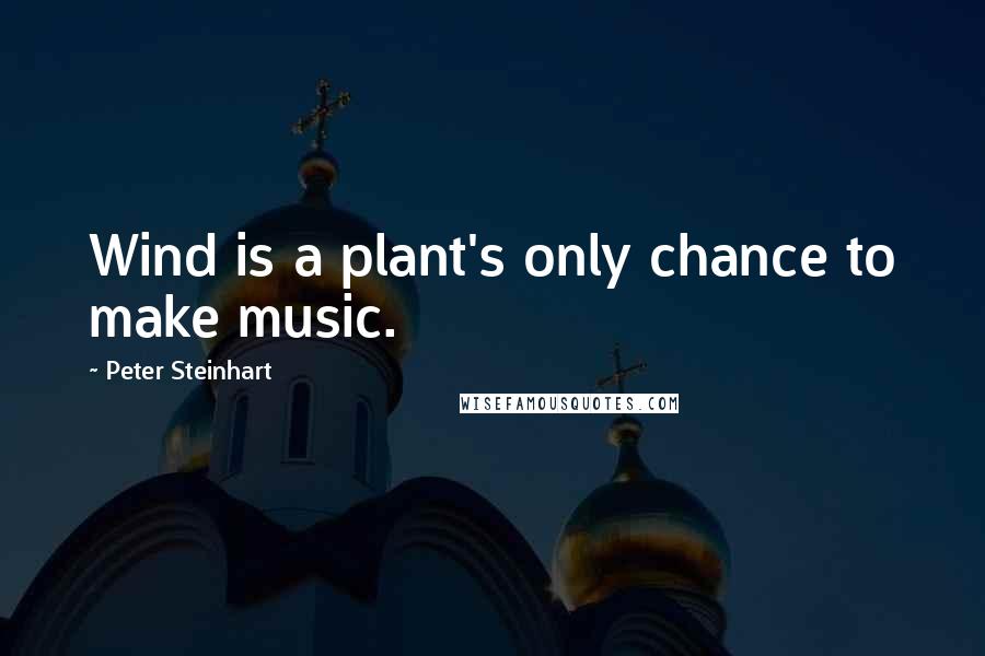 Peter Steinhart Quotes: Wind is a plant's only chance to make music.