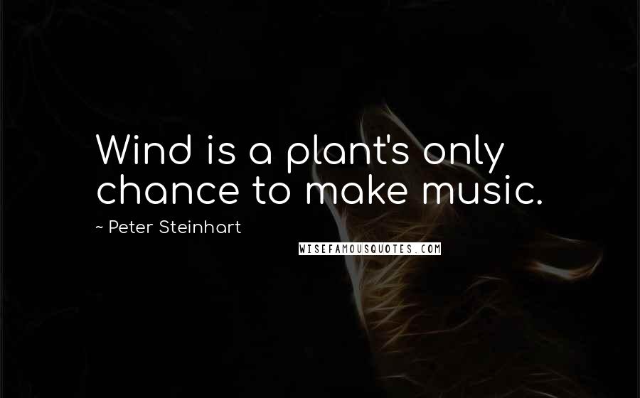 Peter Steinhart Quotes: Wind is a plant's only chance to make music.