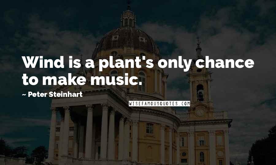 Peter Steinhart Quotes: Wind is a plant's only chance to make music.