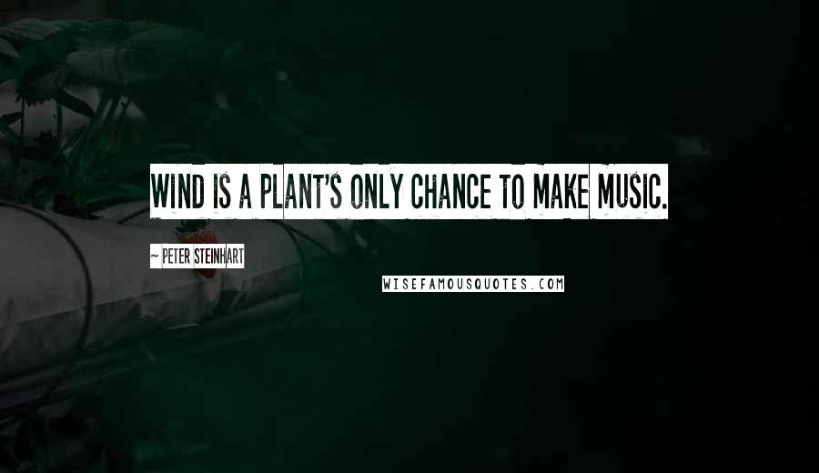 Peter Steinhart Quotes: Wind is a plant's only chance to make music.