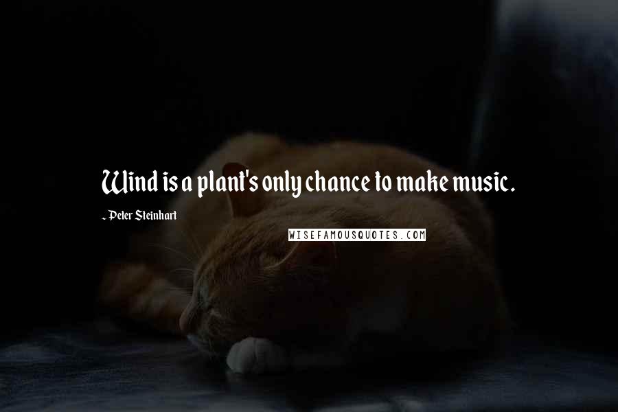 Peter Steinhart Quotes: Wind is a plant's only chance to make music.