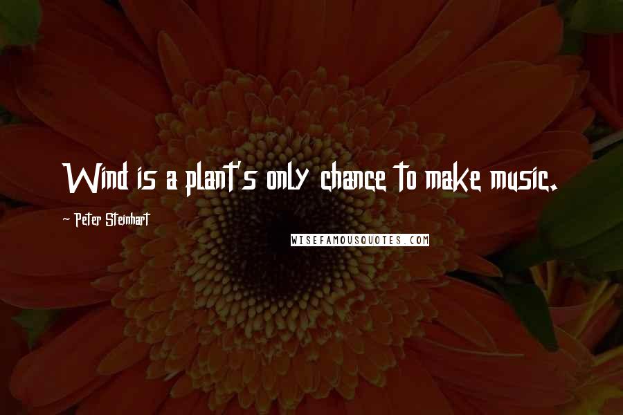 Peter Steinhart Quotes: Wind is a plant's only chance to make music.