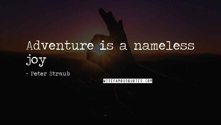 Peter Straub Quotes: Adventure is a nameless joy