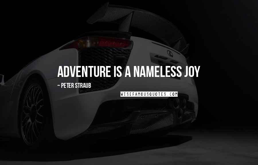 Peter Straub Quotes: Adventure is a nameless joy